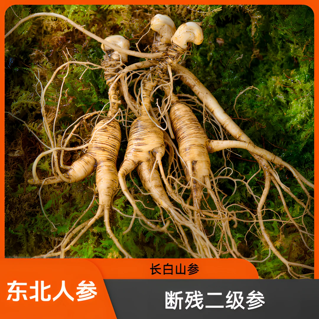一（二级货品相不好）长白山林下参泡酒煲汤打粉新鲜人参一物一拍