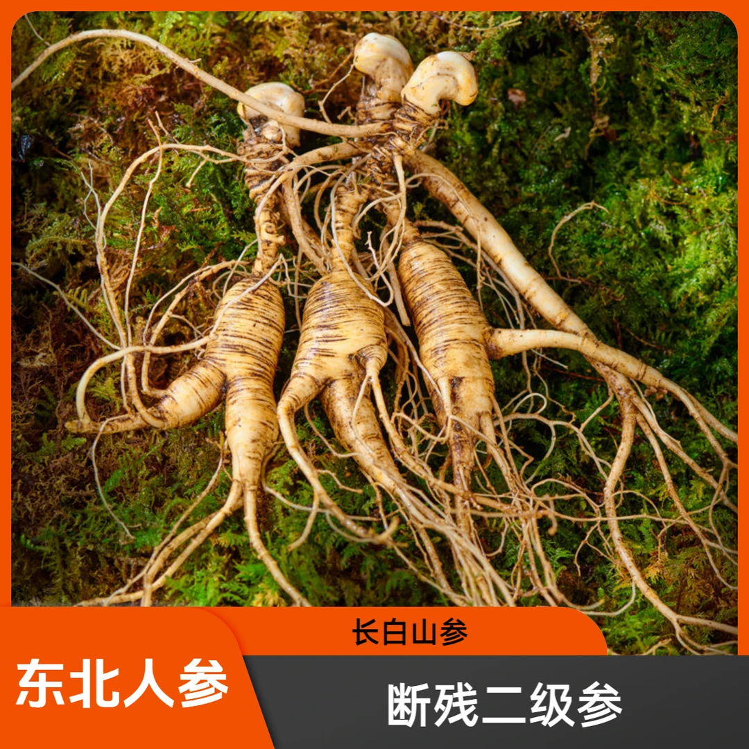 二（二级货品相不好）长白山林下参泡酒煲汤打粉新鲜人参一物一拍