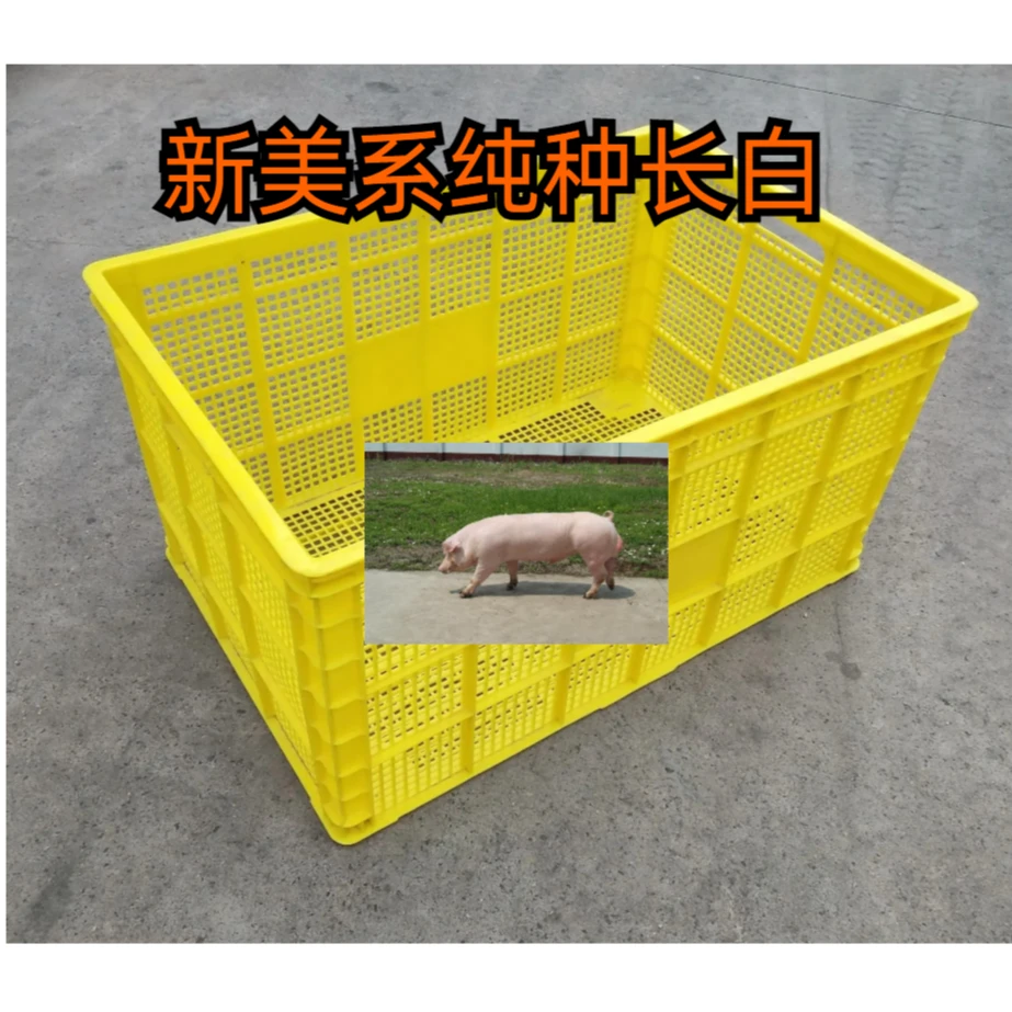 【长白】包纯种包对版带框发货周转框子鸡笼子猪笼子