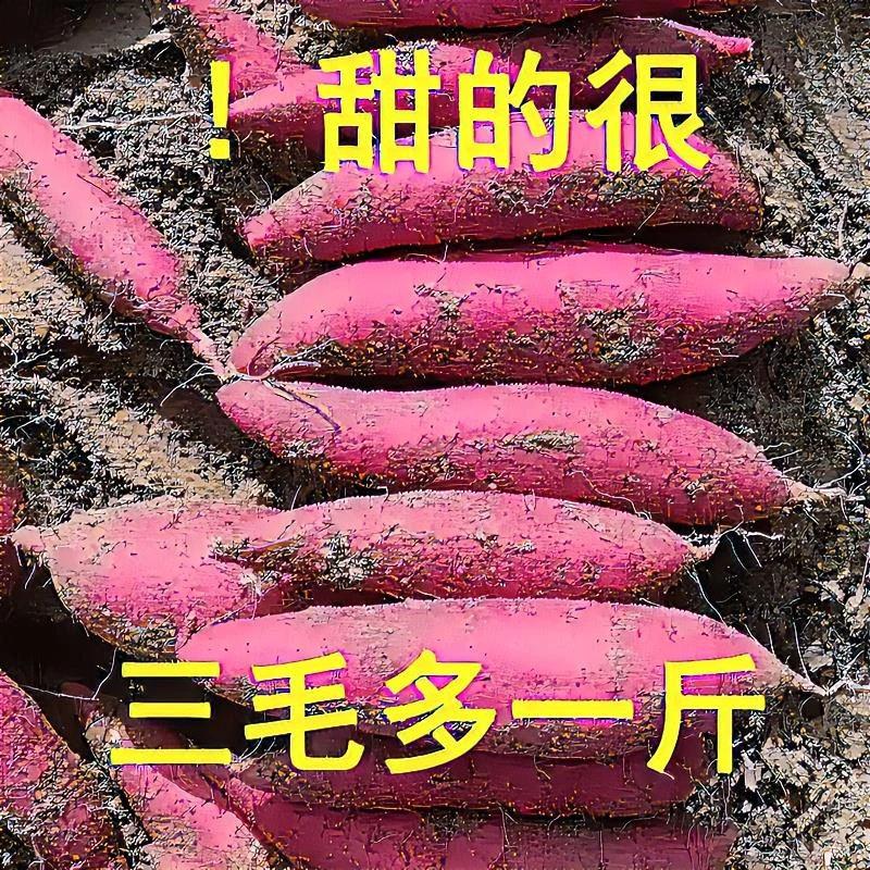【抢购中】超甜沙地蜜薯1/10斤新鲜蜜薯红薯烟薯板栗薯地瓜番薯蔬