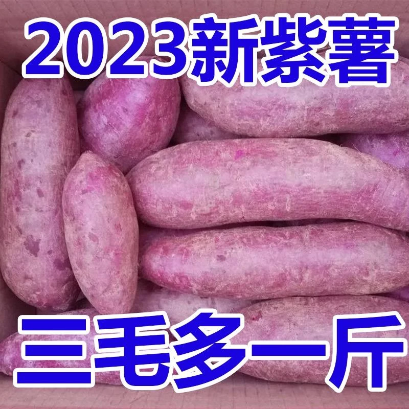 新鲜紫薯紫罗兰紫薯紫心蜜薯红薯地瓜肉质饱满香甜细嫩健康好吃