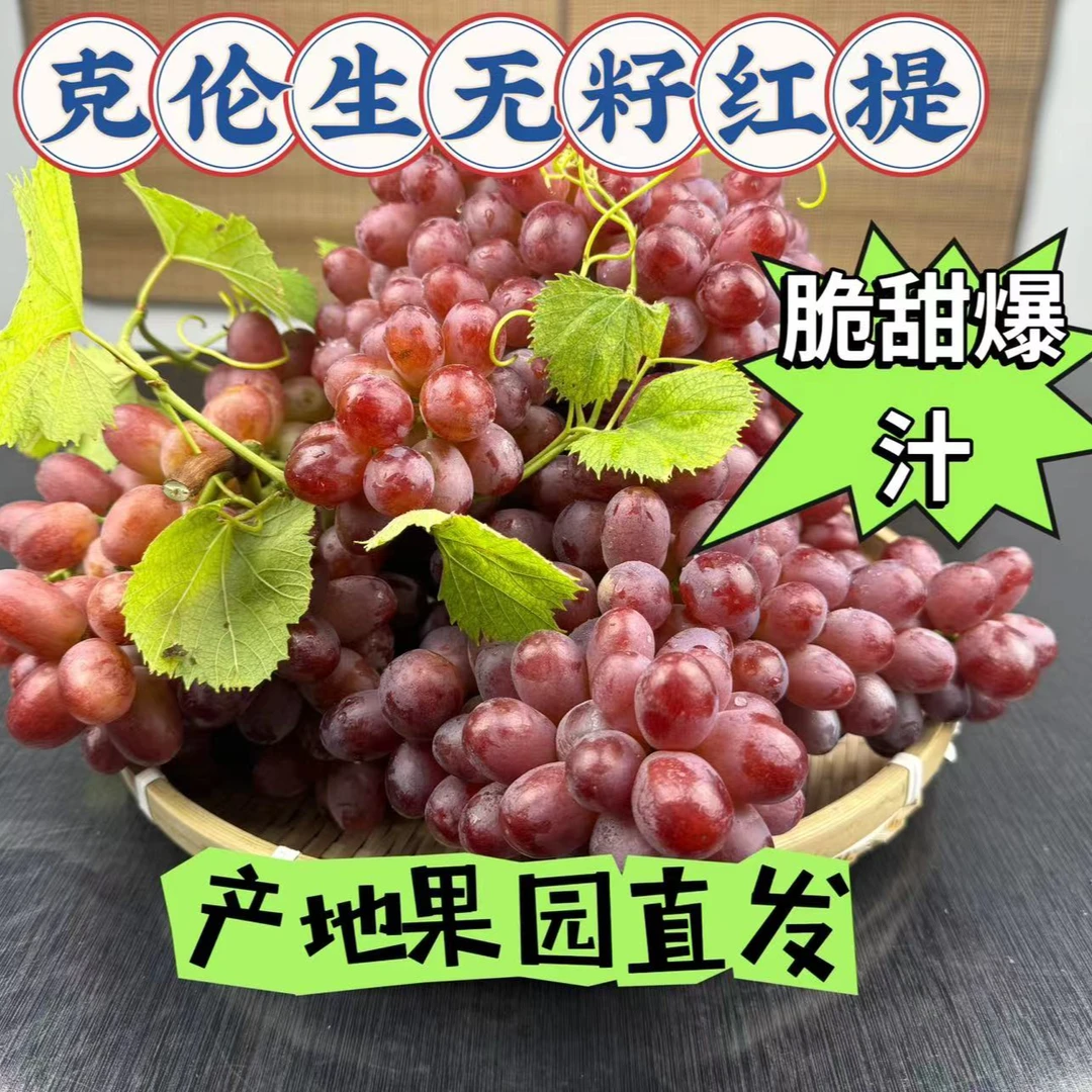 精品克伦生红提无籽葡萄现摘现发脆甜爆汁果肉饱满鲜红