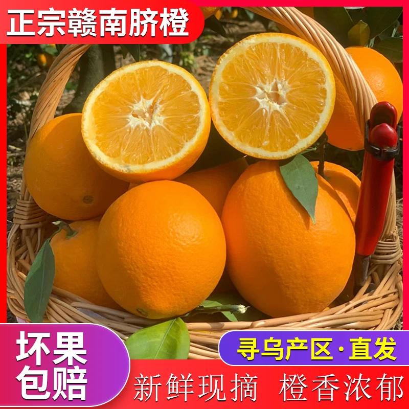 10斤江西橙子赣南脐橙新鲜现摘甜橙应季水果香甜多5斤正宗产地