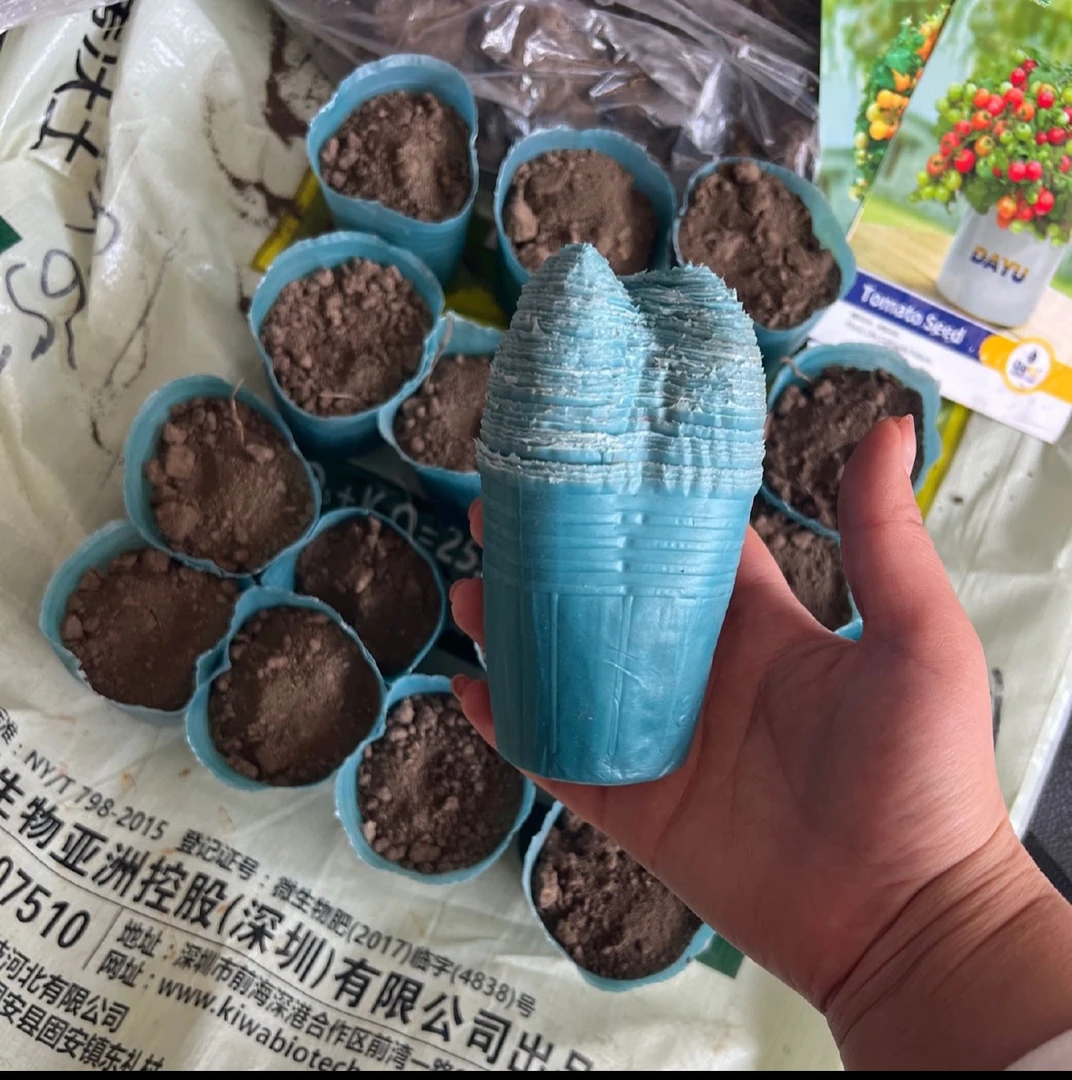 育苗杯，不伤根，盘根紧实