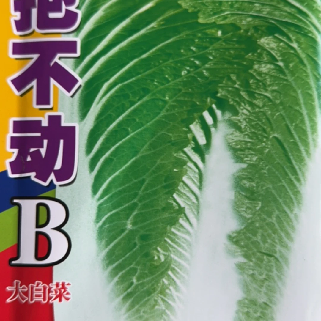 抱不动高颗包心菜籽
