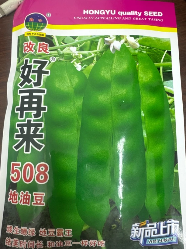 好再来508地油豆籽拍一发二