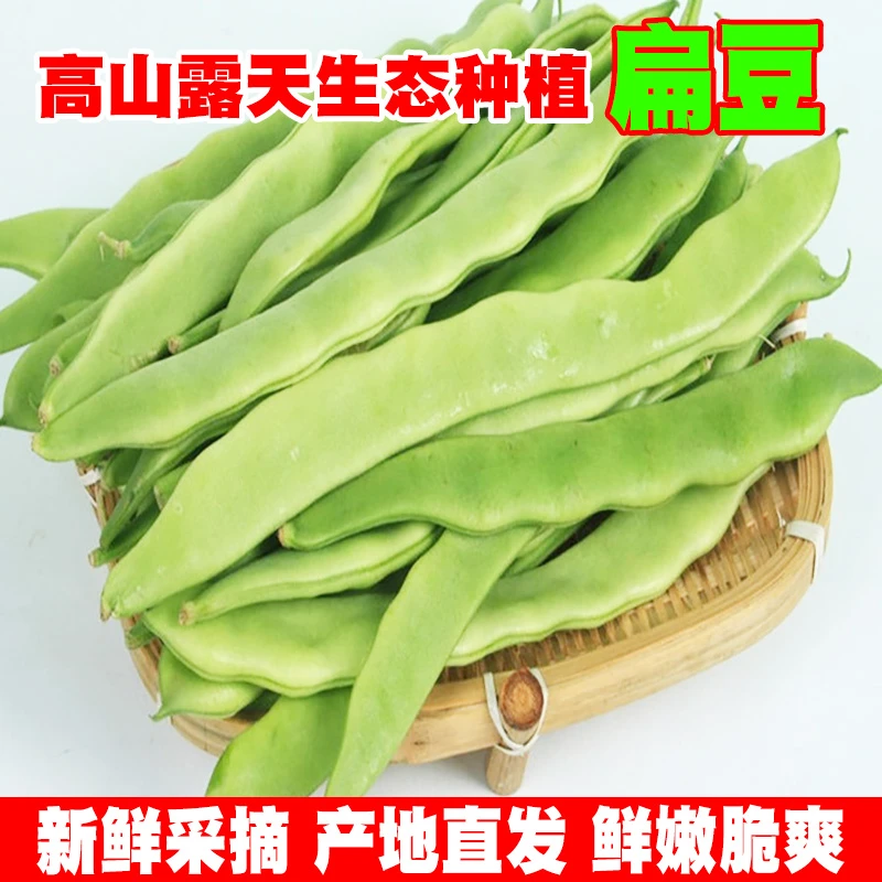 新鲜扁豆露天蔬菜刀豆芸豆高原热带农家下饭菜当季露天种植3-5斤