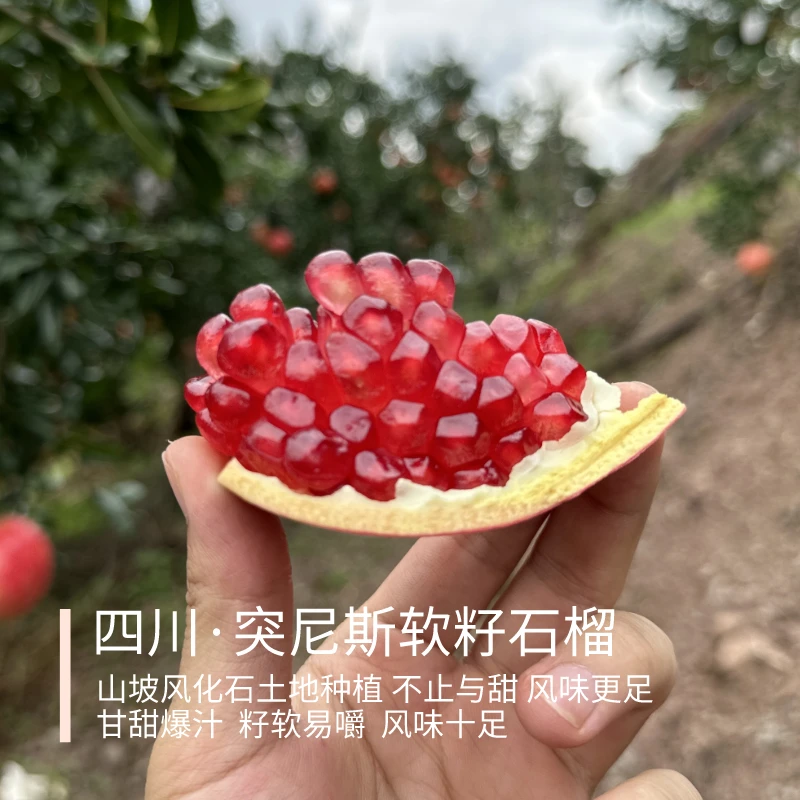 突尼斯软籽石榴 四川会理 山坡风化石种植味更足 家庭装5斤 顺丰