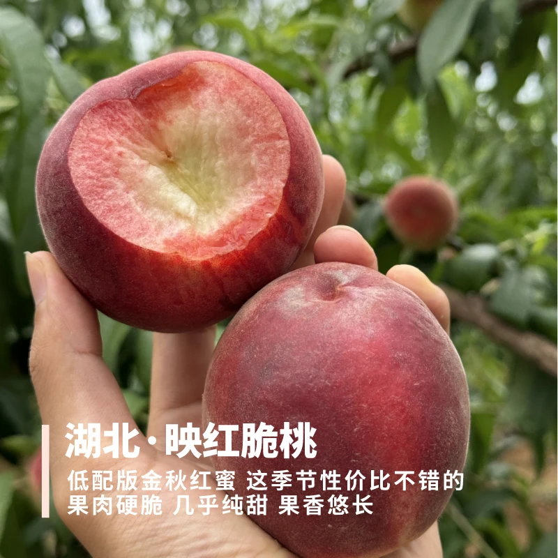 映红脆桃 可以当低配版金秋红蜜吃 清脆甘甜 果香悠长 3斤装