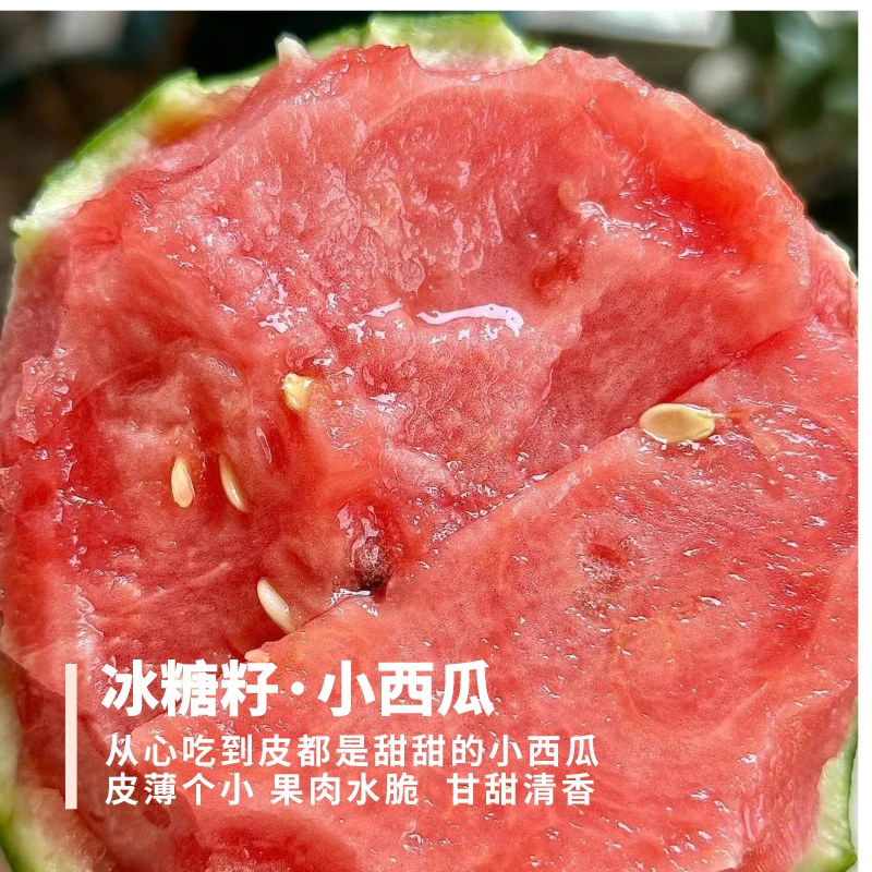 町琦冰糖籽小西瓜 皮薄肉脆甘甜多汁从里到外成熟 甜的自然 2个装
