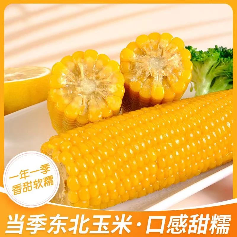 东北黑土地甄选黄糯玉米软糯香甜5分熟每根240-300g每箱10穗5-6斤