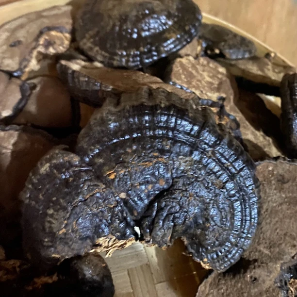 【W土特产】䗂-掌-沚 净含量250g-1000g