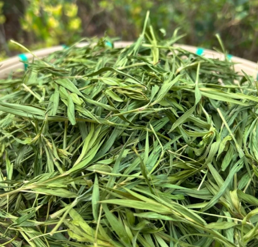 【sss土特产】雪域冰竹 净含量250g-1500g