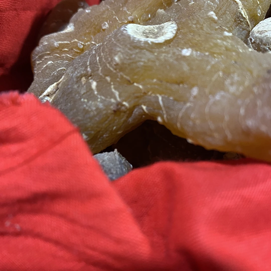 【s土特产】太-阳-参 净含量100g-500g