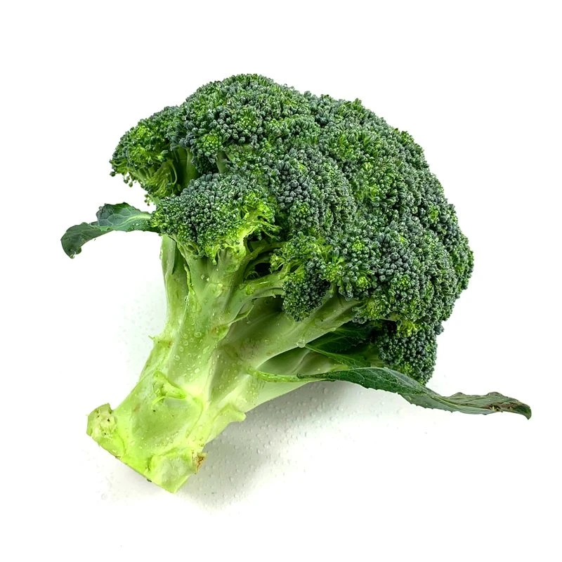 顺丰包邮湖北特产新鲜现采小西兰花朵1斤2斤3斤4斤