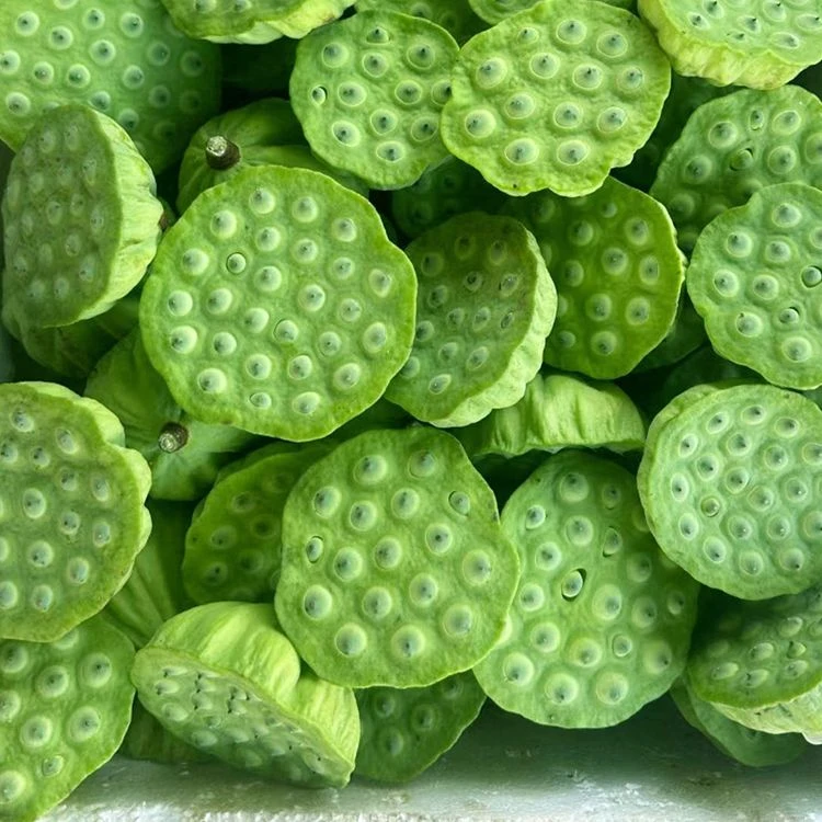【顺丰包邮】湖北新鲜莲蓬现摘新鲜太空水果莲蓬嫩莲蓬莲子