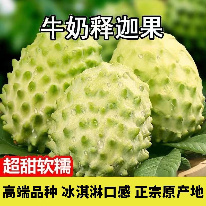 当季新鲜水果广西释迦果番荔枝佛头摩尼果孕妇稀有水果坏损包赔