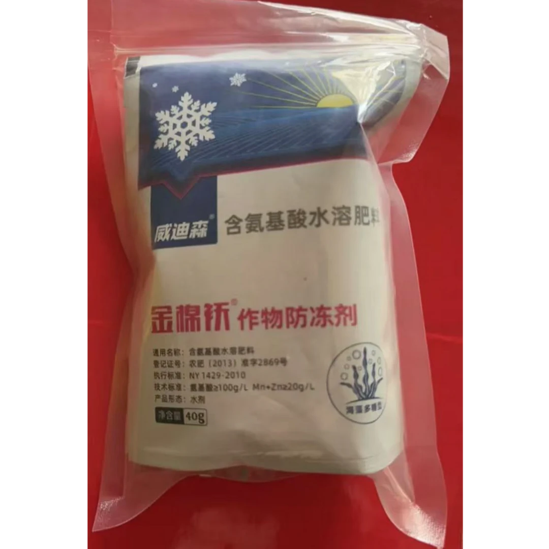 大蒜年前一遍药 生根 壮苗 防病 防冻