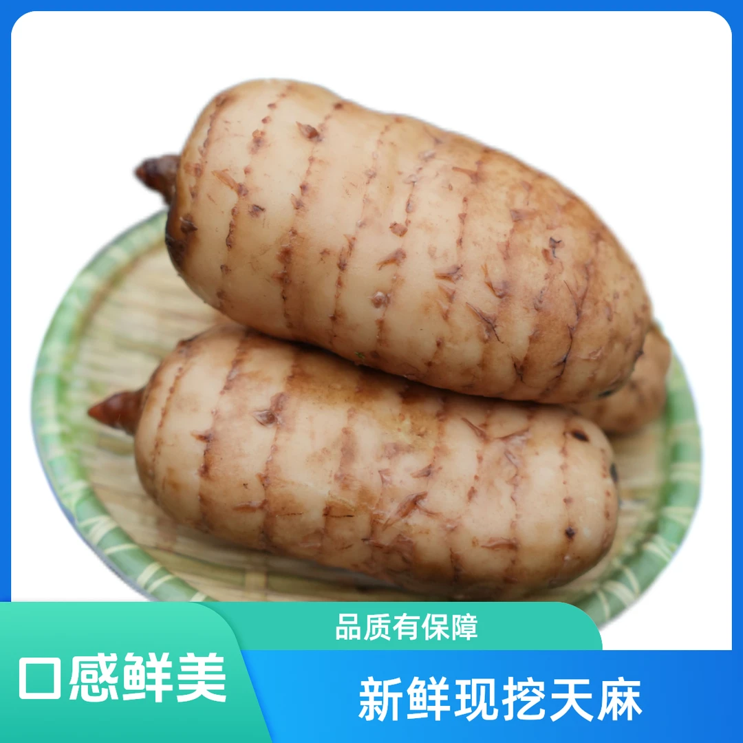 贵州高原镇远天麻