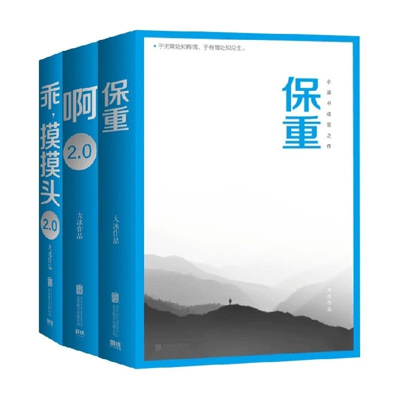 保重（大冰小蓝书系列收官之作！就此别过，诸君保重。）多规格