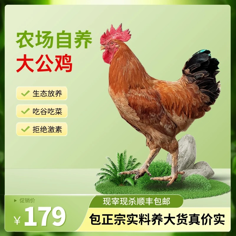 正宗农家走地阉鸡2500±100g生猛家禽新鲜宰杀顺丰包邮运输快递
