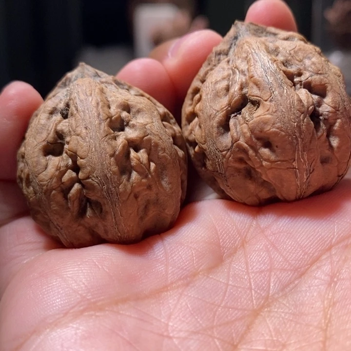 文玩核桃把件东北楸子201