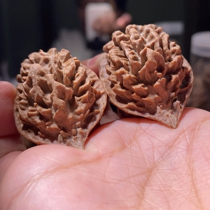 文玩核桃把件东北楸子233