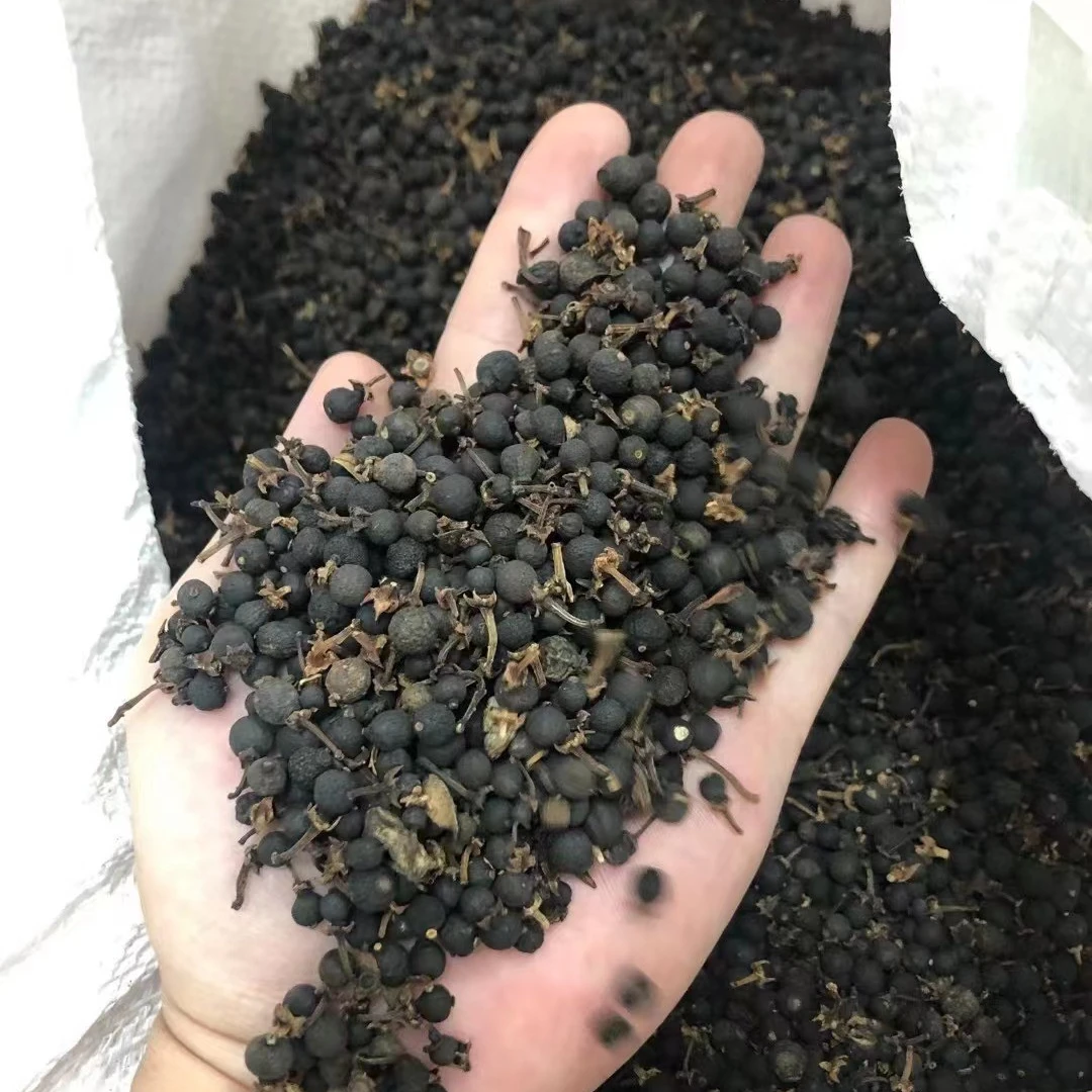 正宗新会小柑胎特级自然生晒柑胎陈皮柑胎果500g
