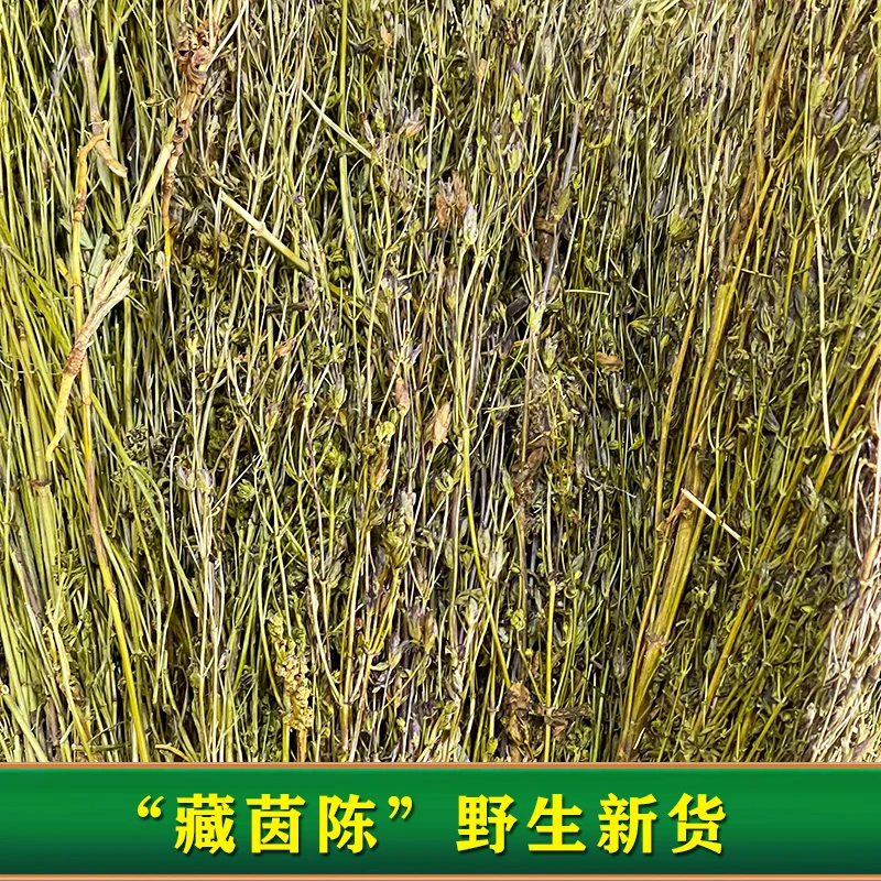 西藏野生藏茵陈草新鲜干草整棵