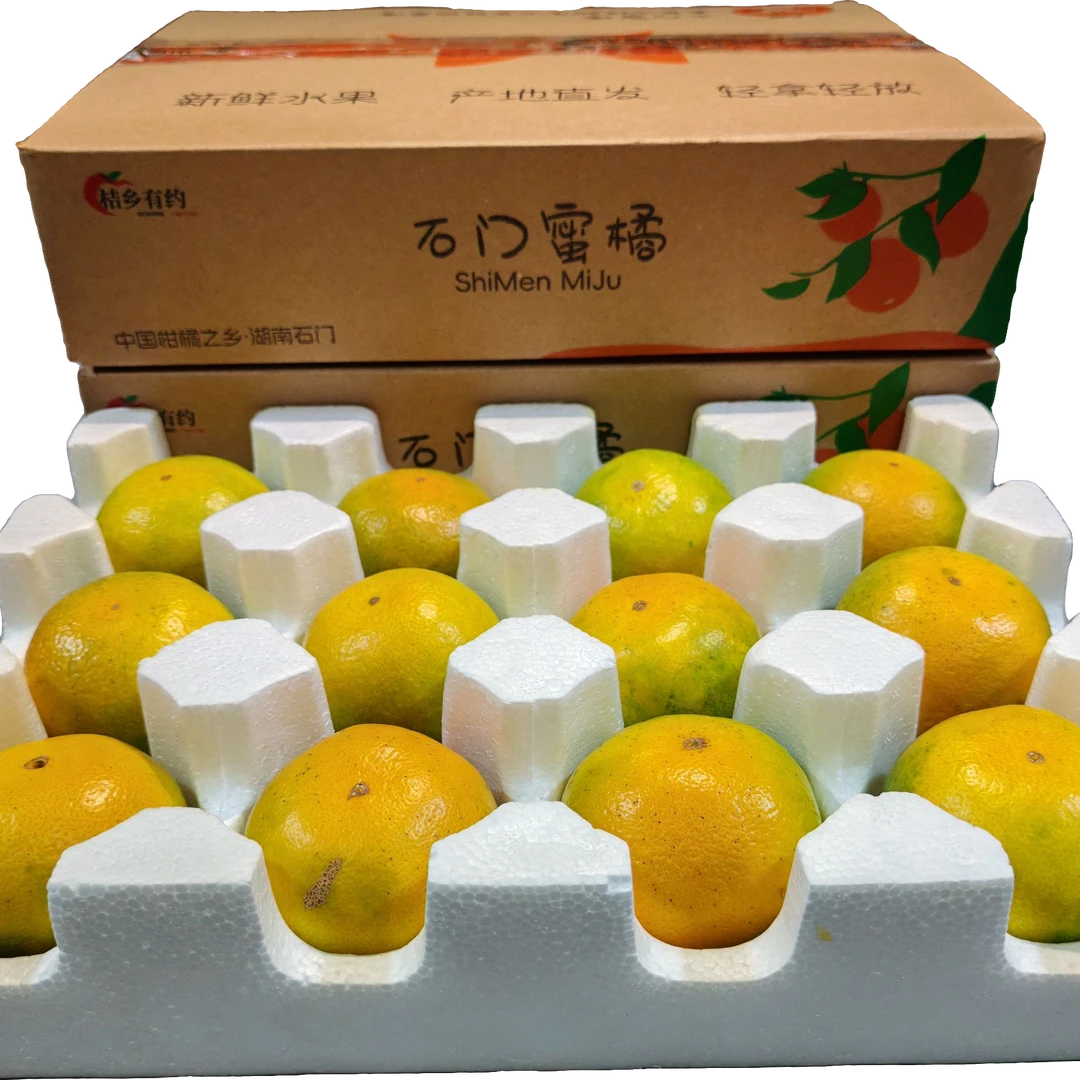 石门柑橘大芬四号青皮蜜桔孕应季妇水果清脆爽口整箱包邮