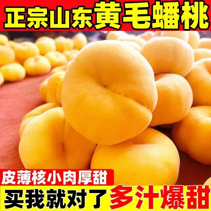 正宗山东蒙阴黄金大毛蟠桃新鲜采摘扁桃脆甜多汁应急水果