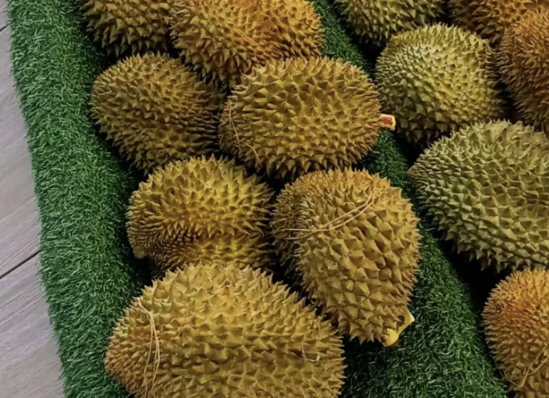 越南精品干尧
