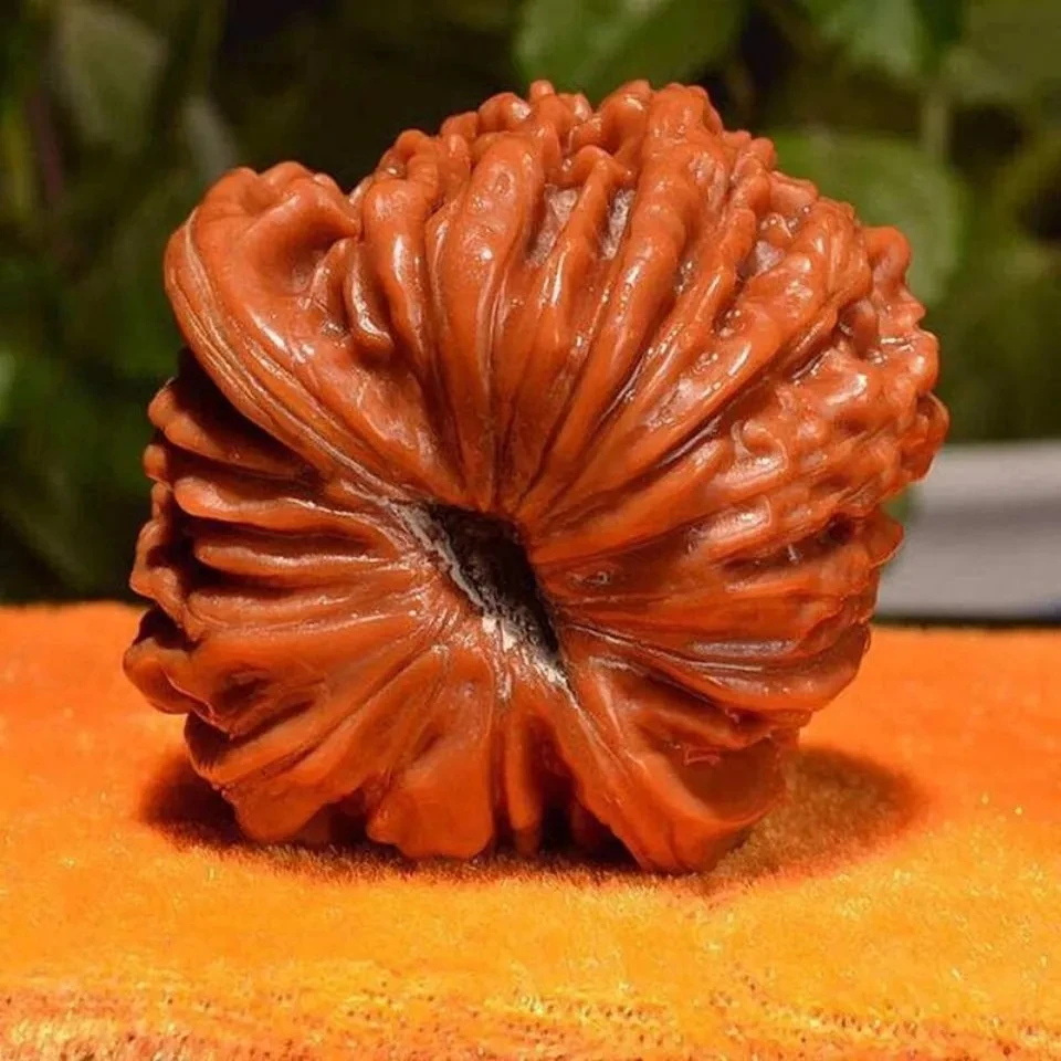 文玩核桃直播间专拍