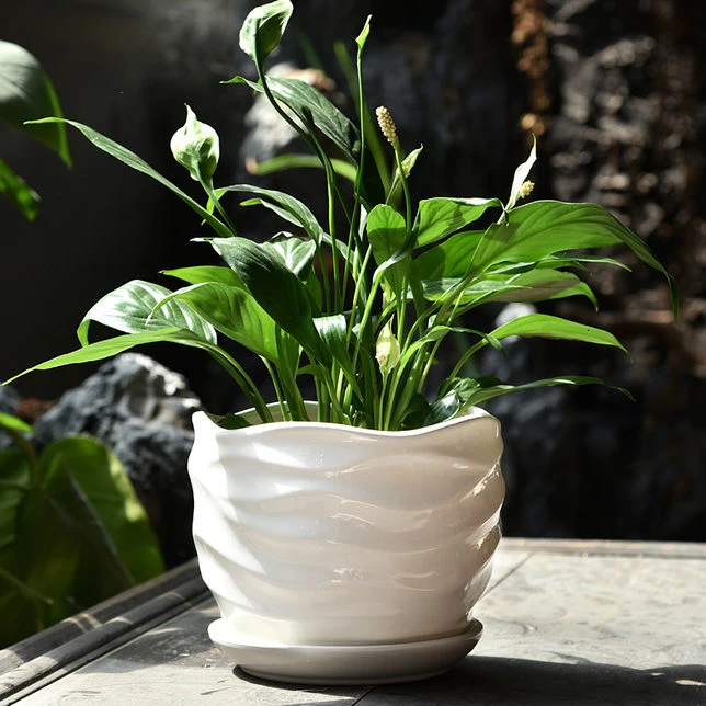 花瓶陶瓷种花盆大号特大号陶瓷花瓶大口径高级感花盆轻奢高级感