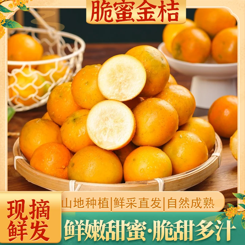 【坏果包赔】广西脆蜜金柑新鲜水果带皮吃产地直发下单现摘甜蜜爆汁