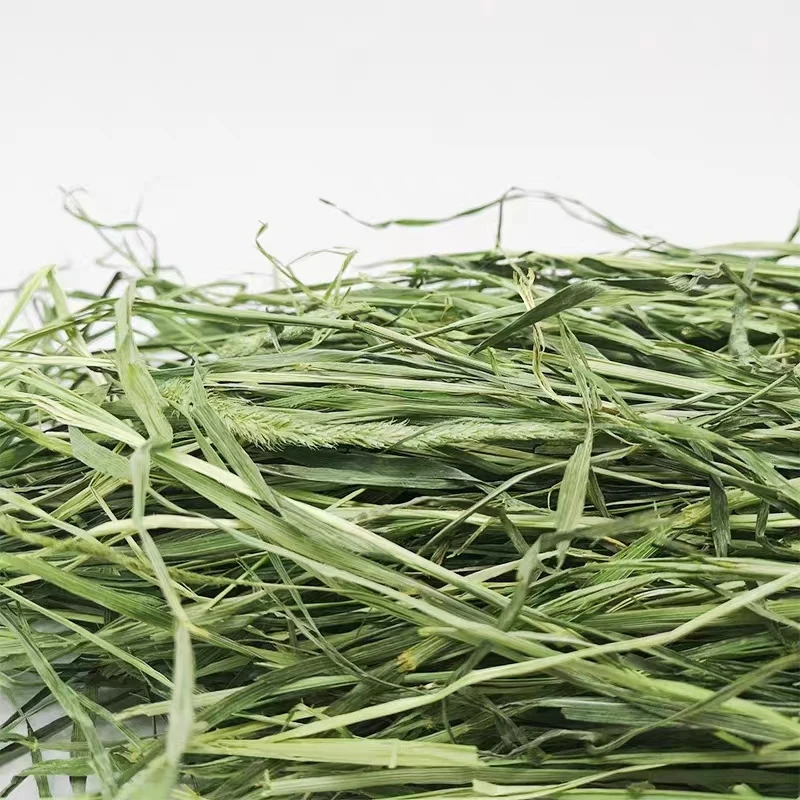 晒干特级提摩西干草牧草兔子龙猫荷兰猪豚鼠磨牙主食兔草营养饲料