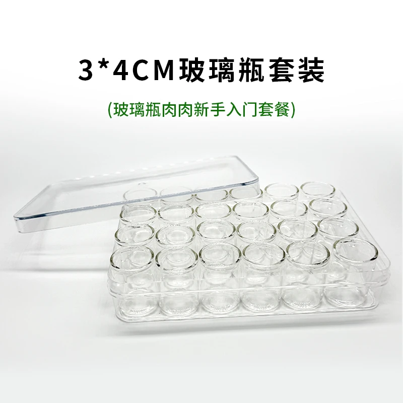 24个3*4cm直口玻璃瓶+亚克力移苗盒套装 不含多肉