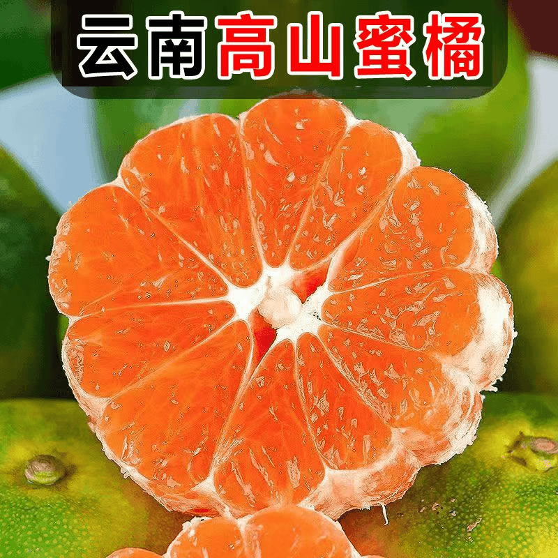 【整箱10斤】现摘云南蜜桔薄皮当季酸甜青皮柑橘子蜜橘新鲜水果hy