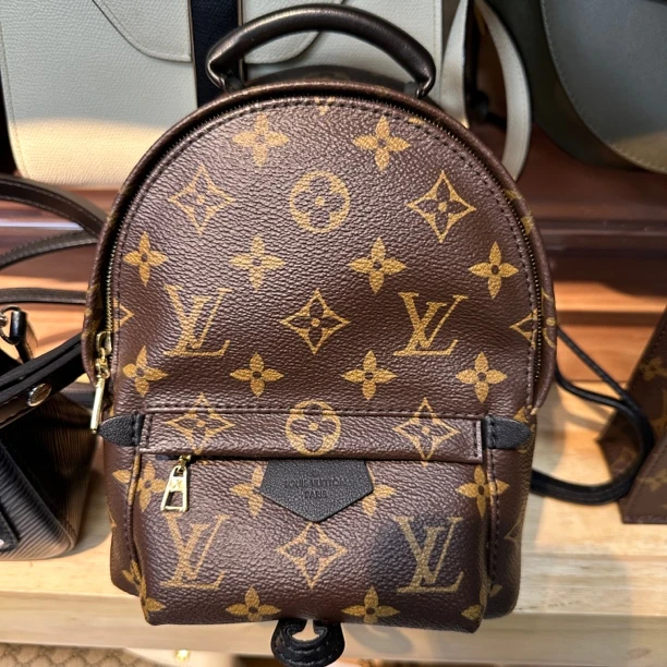 95新 LouisVuitton/路易威登 Lvmini 老花双肩包