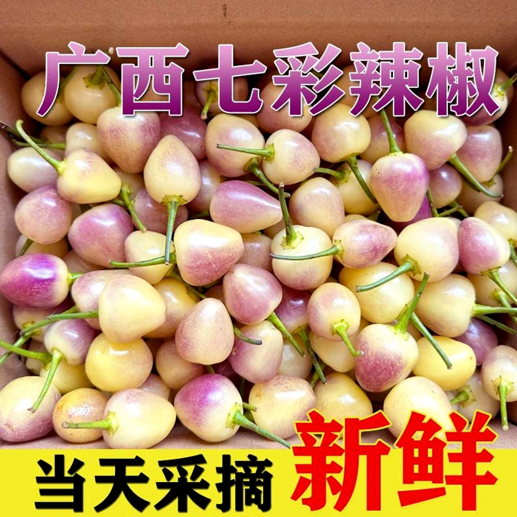 广西正宗七彩椒广西特产七彩辣椒七彩椒新鲜七彩椒彩椒辣椒新鲜