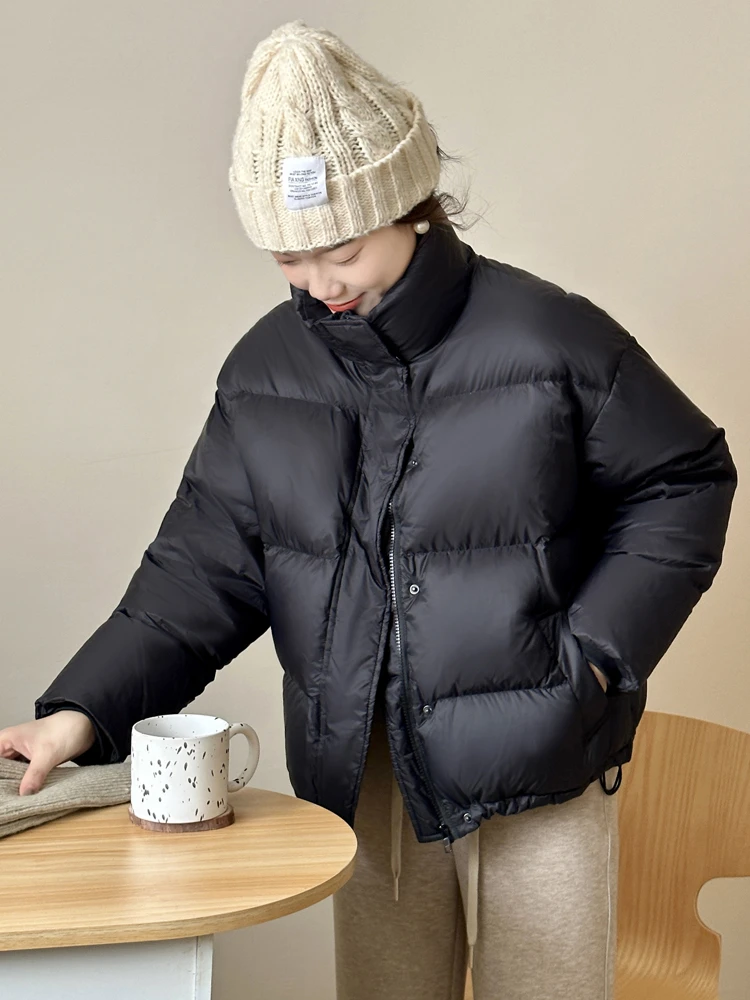 2024新款95白鸭绒羽绒服 韩版宽松 潮流平替 百搭 男女抗寒（立领）