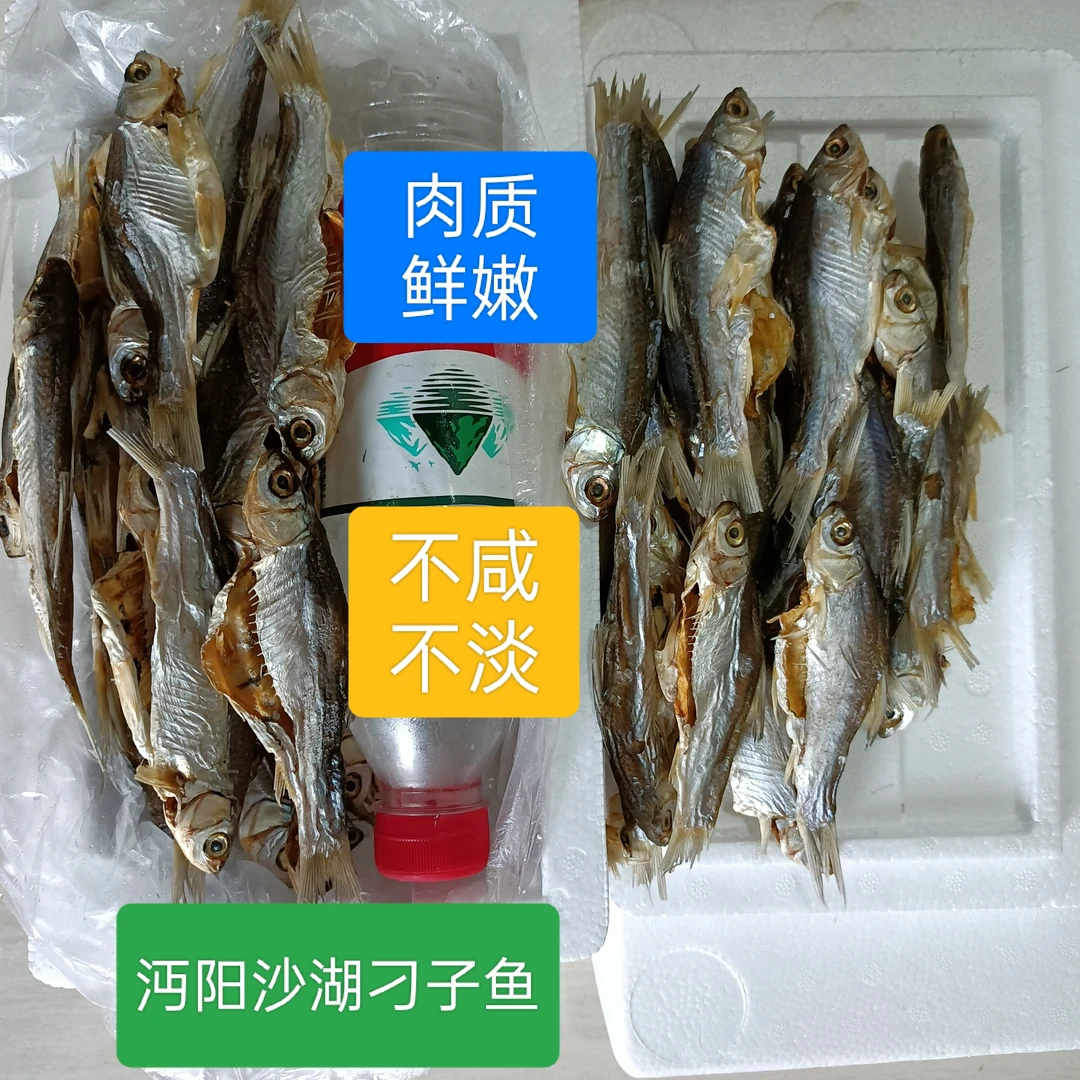 湖北沙湖刁子鱼12Cm一15厘米肉质鲜嫩不咸不淡活鱼加工顺丰包邮