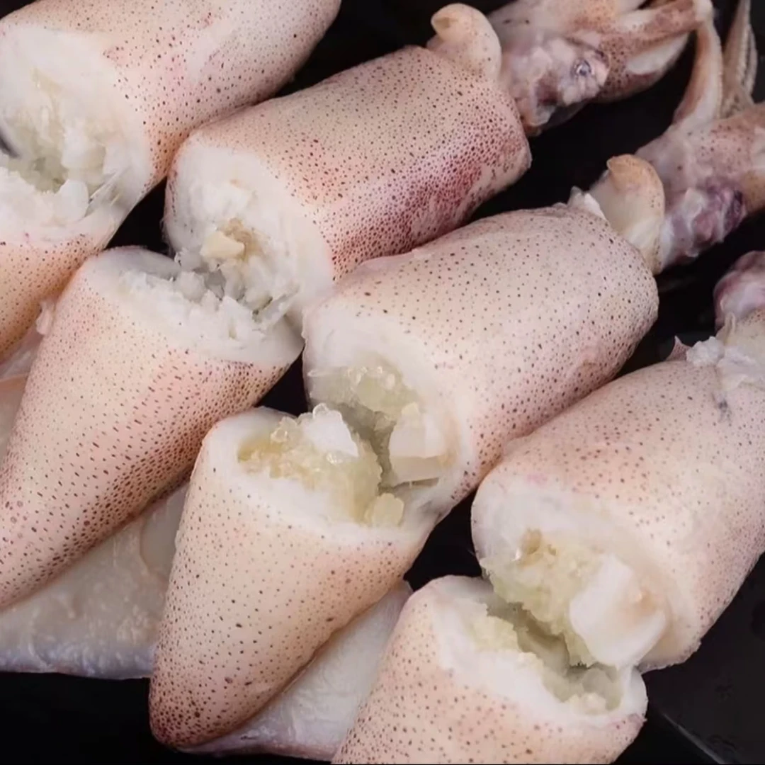 AAA满籽海兔一盒30只装带籽籽乌笔管鱼到手2盒60只