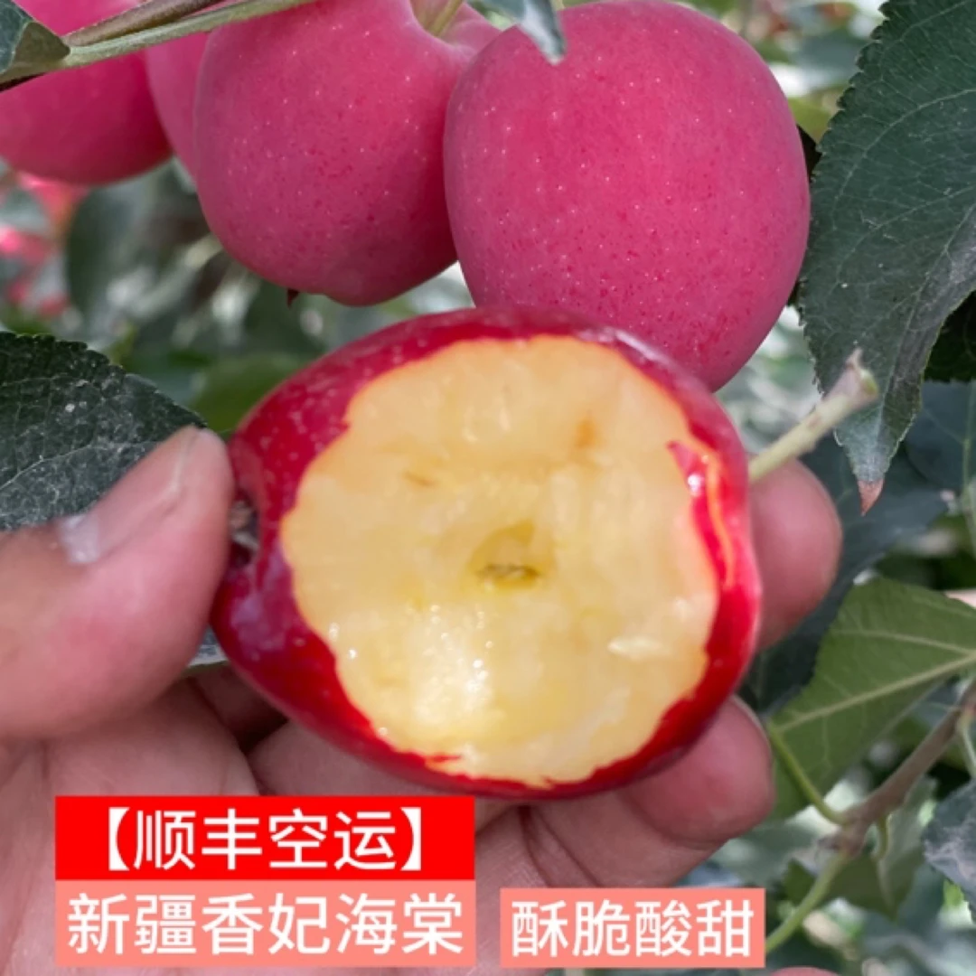 【顺丰空运】新疆香妃海棠鸡心果小苹果酥脆酸甜可口果香浓郁