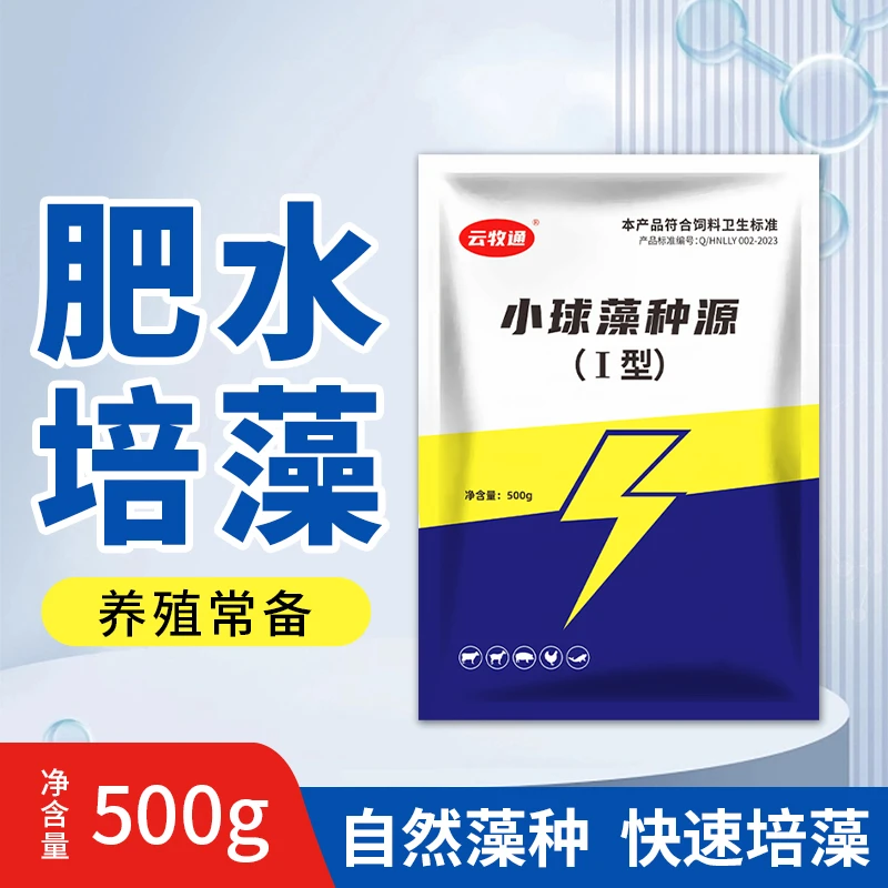 高浓缩小球藻藻种快速肥水培养水体有益藻增氧稳水水产养殖冻干粉