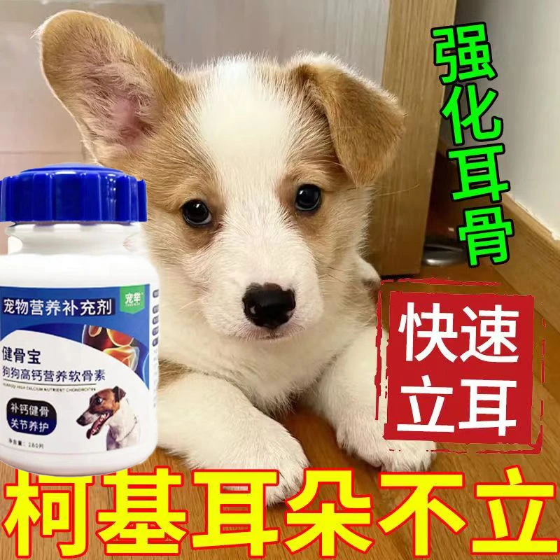 柯基立耳专用软骨素钙片缺钙补钙护关节狗幼犬可用腿软腿瘸不立耳