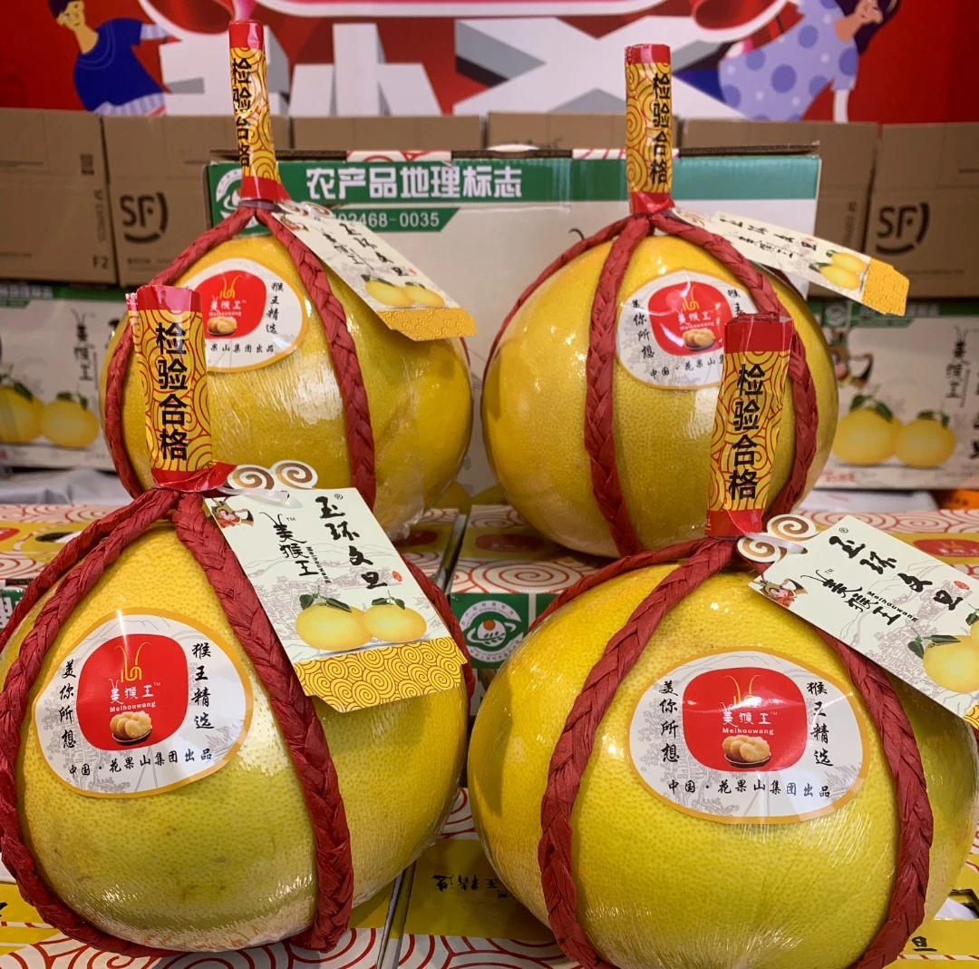 台州玉环文旦柚，鲜嫩香甜，2个与4个礼盒装，顺丰包邮