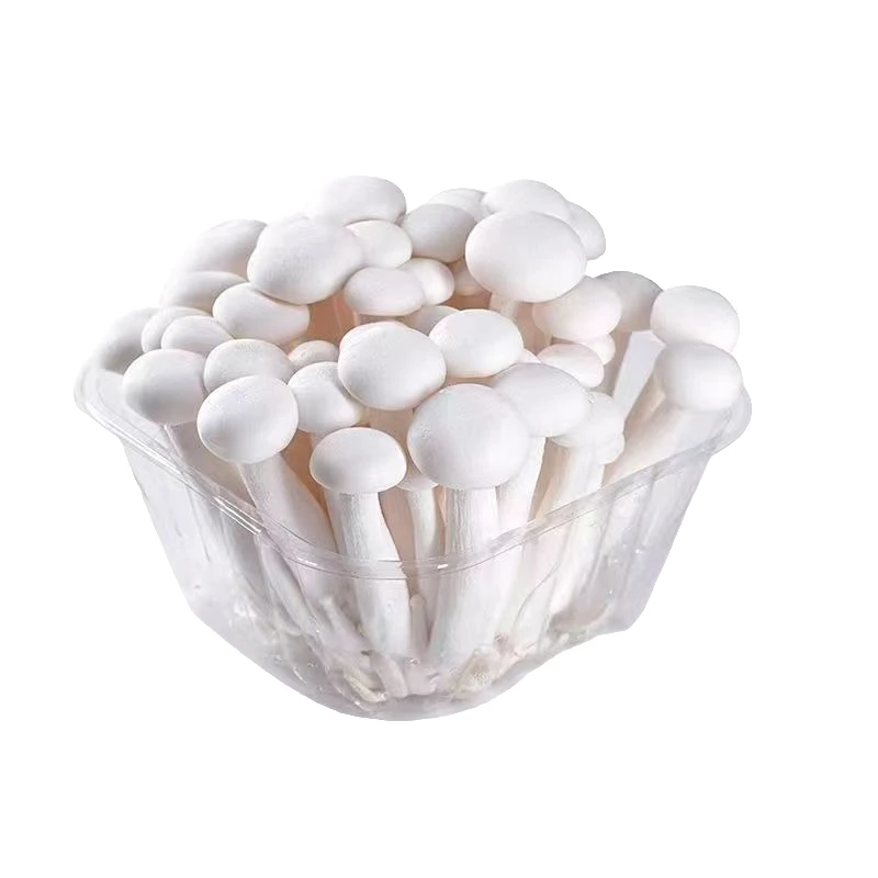 雪绒白玉菇125g白玉菇