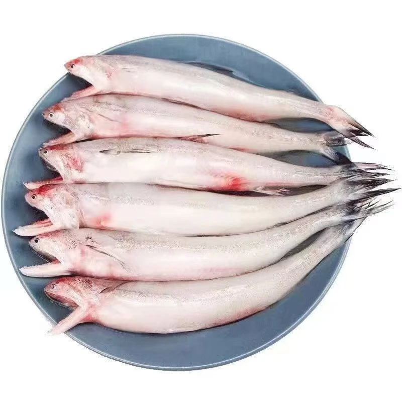 豆腐鱼【龙头鱼】约500g±50