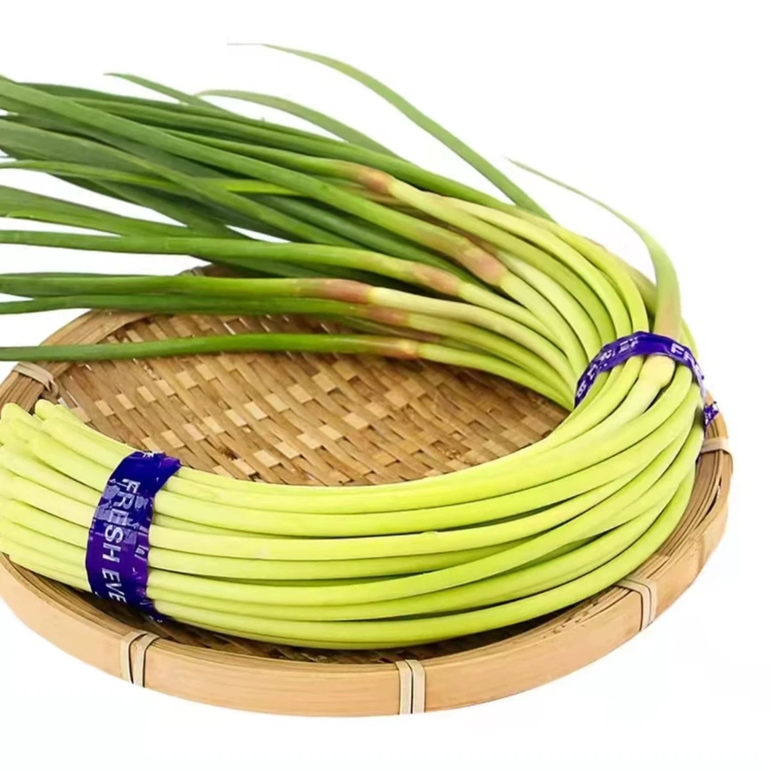 新鲜蒜苔 约300g±20g